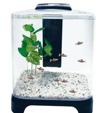 1.5-gallon betta fish tank kit with gravel base, green plant, and small fish
