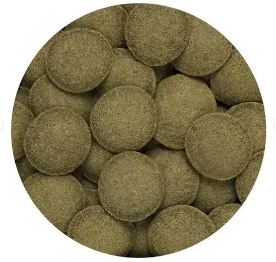 Hikari Sales Tropical Algae Wafers 2.89 Ounces - 21316