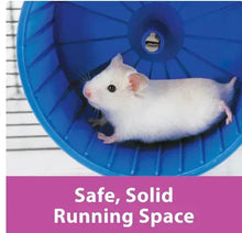 Blue plastic exercise wheel with a white small animal running inside