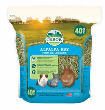 Alfalfa hay small animal food bag with Oxbow logo, 40 oz, front label