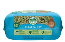 Alfalfa hay small animal food bag top with hay window and Oxbow logo