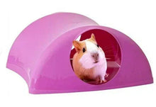 Purple hollow small-animal hideout house with arched entrance, guinea pig inside