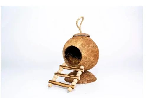 Penn-Plax Coconut Hut Habitat - Toy and Home for Hamsters - 3 Step Rope Ladder