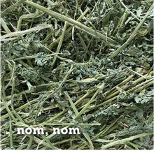 Alfalfa hay, loose green stems and leaves