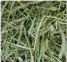 Timothy grass hay strands