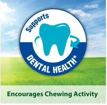 Dental health badge promoting chewing activity for small animal chew treats