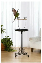 Bird playstand with round tray, two feeders, black stand, and perched green bird