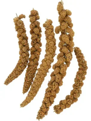 FM Brown Extreme Spray Millet Treat 16 oz.