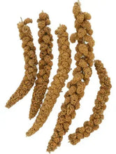 Brown millet spray sticks for birds, seed clusters on thin stems