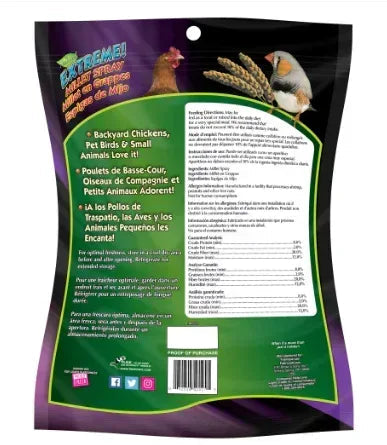 FM Brown Extreme Spray Millet Treat 16 oz.