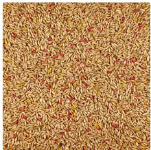 Oat groats treat mix of tan and red kernels filling the frame