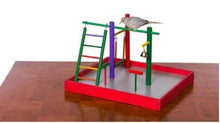 Parakeet playground with multicolor posts, ladder, red platform, and perched bird