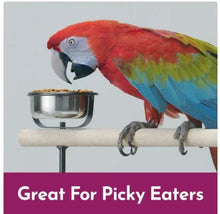 Bird food pouch graphic with colorful parrot, metal bowl, and 'Great For Picky Eaters'