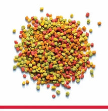 Colorful small bird food pellets, mixed yellow, green, red, and orange pieces