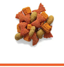 Assorted bird food pellets in orange and green shapes