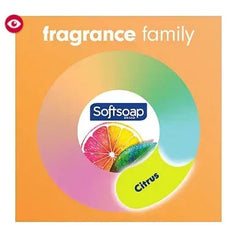 Softsoap Antibacterial Liquid Hand Soap, 4 pk./ 11.25oz.