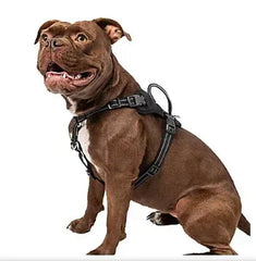 Premier Pet No Pull Comfort Harness - Medium