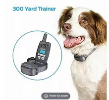 Pet remote training collar system with handheld controller and dog wearing receiver collar