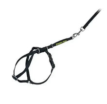 Cat harness and leash set with adjustable straps and metal leash clip