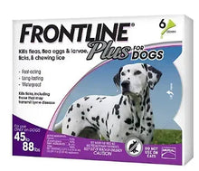 Frontline Plus flea & tick dog treatment box for large breeds, 6 doses