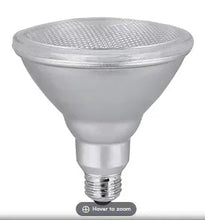 Frosted PAR38 LED light bulb with screw base