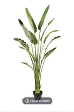 Artificial potted travelers palm with tall green leaves in a small pot