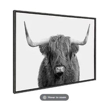 Framed canvas wall art featuring a gray Highland cow portrait with horns