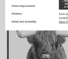Framed canvas wall art of a Highland cow with ears and snout, gray tones