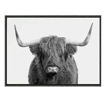Framed canvas wall art of a Highland cow face in gray and white