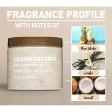 Island Coconut shea sugar scrub jar with fragrance notes panel on label; 18 oz
