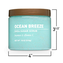 Ocean Breeze sugar scrub jar with size marks, turquoise container with brown lid