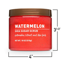 Watermelon shea sugar scrub jar with dimensions marked: 4 in wide, 3 1/2 in tall.