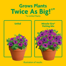 Two potted plants with purple flowers labeled Unfed and Miracle-Gro potting mix