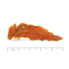 Single smoked chicken breast dog treat strip with measurement scale