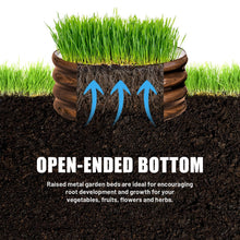 Raised metal garden bed section with open-ended bottom and soil insert
