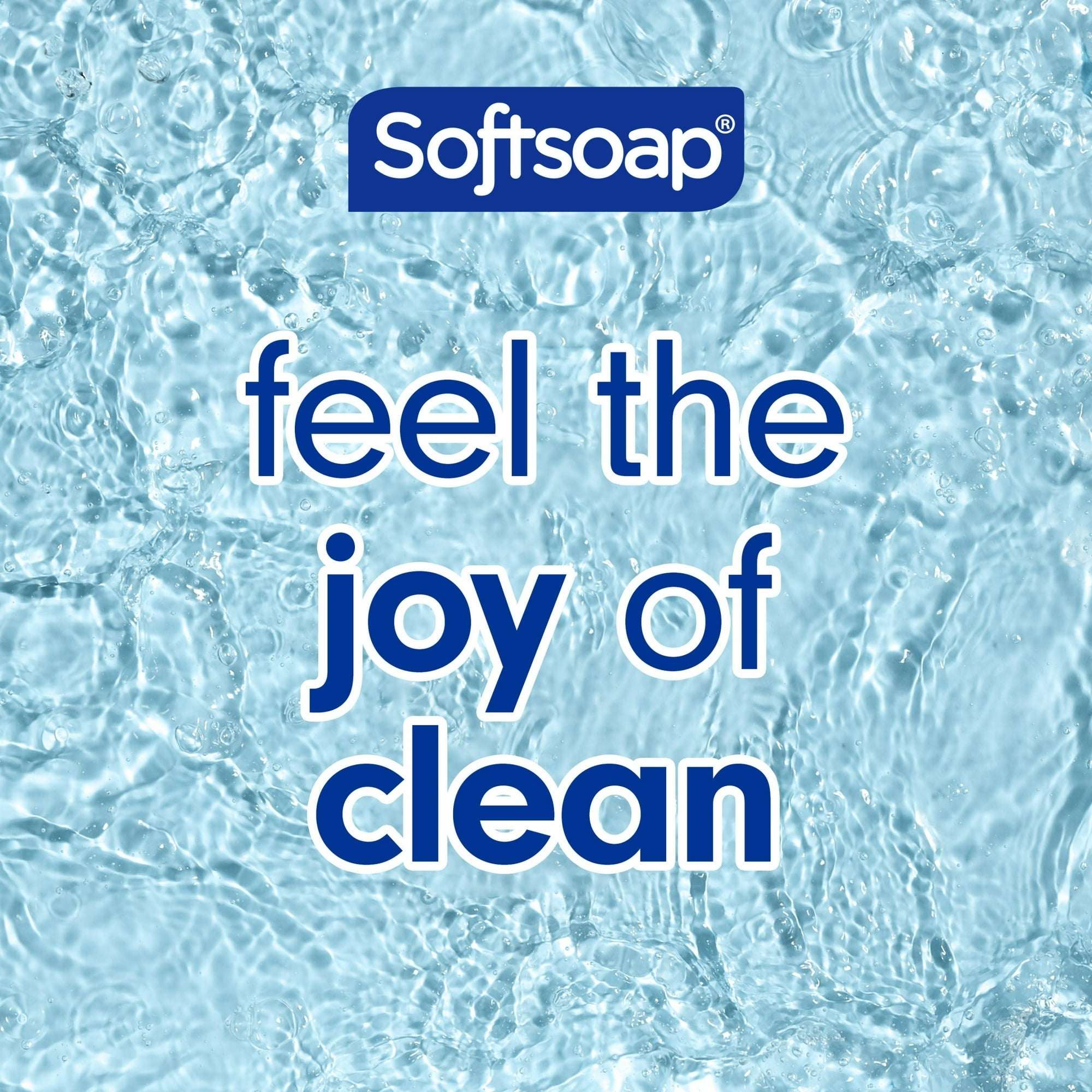 Softsoap Moisturizing Body Wash, All Skin Types, Juicy Pomegranate and Mango, 20 fl oz Bottle