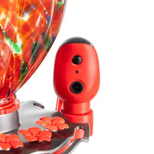 Close-up of red bird-shaped spout on hummingbird feeder base with flower tray
