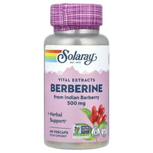 Berberine dietary supplement bottle with purple cap and front label, 500 mg, 60 vegcaps