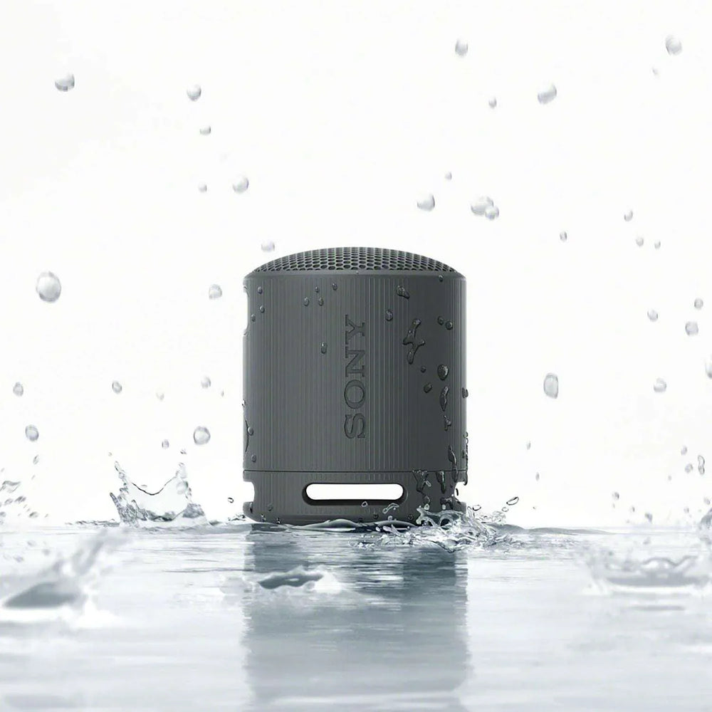 Sony SRSXB100 Bluetooth Portable Speaker - USA MEGA SHOP