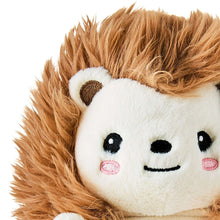 Brown hedgehog plush toy close-up: white smiling face with stitched eyes and blush cheeks.