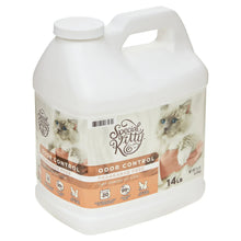 Special Kitty odor control clumping cat litter jug, 14 lb, fragrance free