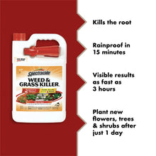 Spectracide Weed & Grass Killer 1 gal jug with benefit callouts: kills root and rainproof
