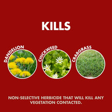 Weed & Grass Killer kills dandelion, chickweed, and crabgrass on-contact graphic.