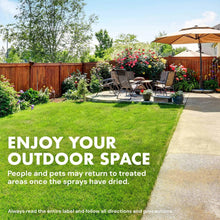 Weed & Grass Killer outdoor yard after treatment with lawn and patio area