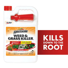 Spectracide Weed & Grass Killer jug pack shot with label showing root kill claim