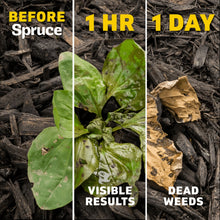 Weed and grass killer before-and-after results with visible and dead weeds