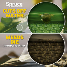 Weed and grass killer graphic showing cuts off water and dehydration effects