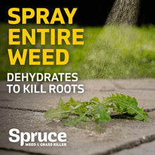 Weed and grass killer power spray starter kit with spray mist on sidewalk weeds