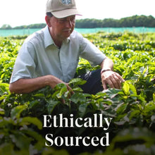 Ethically sourced coffee plantation scene with 'Ethically Sourced' text