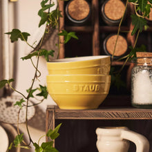 Yellow stoneware bowls, set of 2, embossed STAUB on front, stacked
